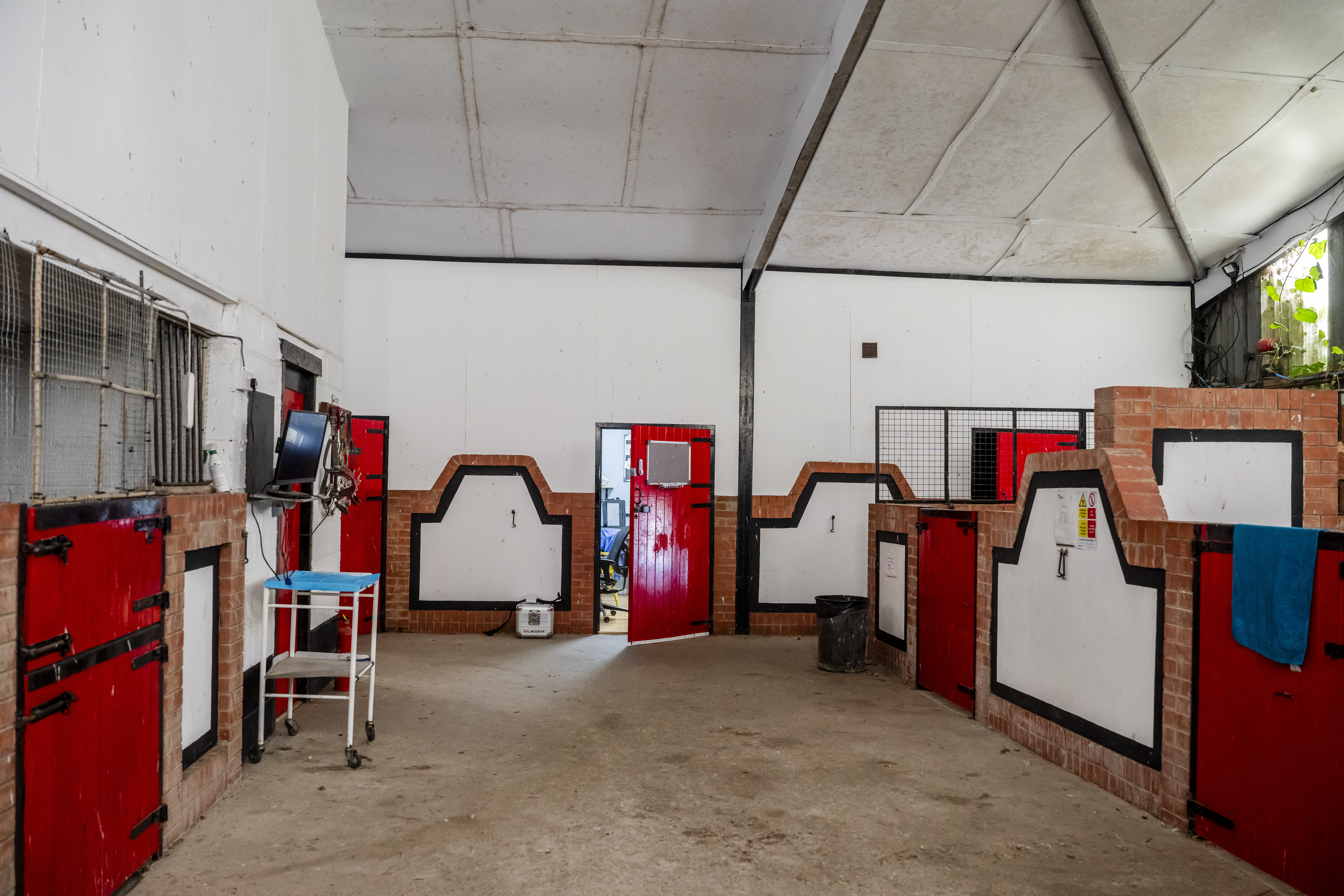 KR Equine County Down Sky View Facilities Clinic